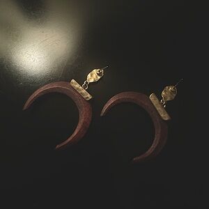 Wooden gold earrings